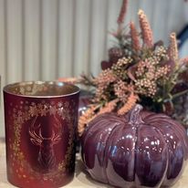 243194720_4408910675824357_179889624088203335_n