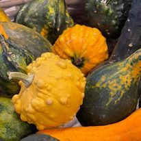 243365061_4408911402490951_4288496133555111246_n