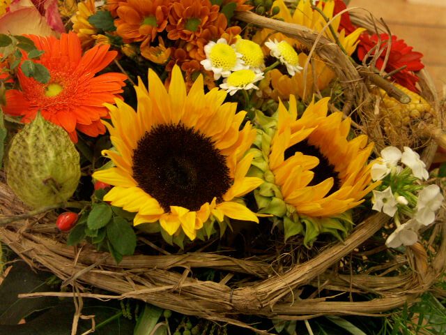 Str_Sonnenblumen-e1536346840212 (1)